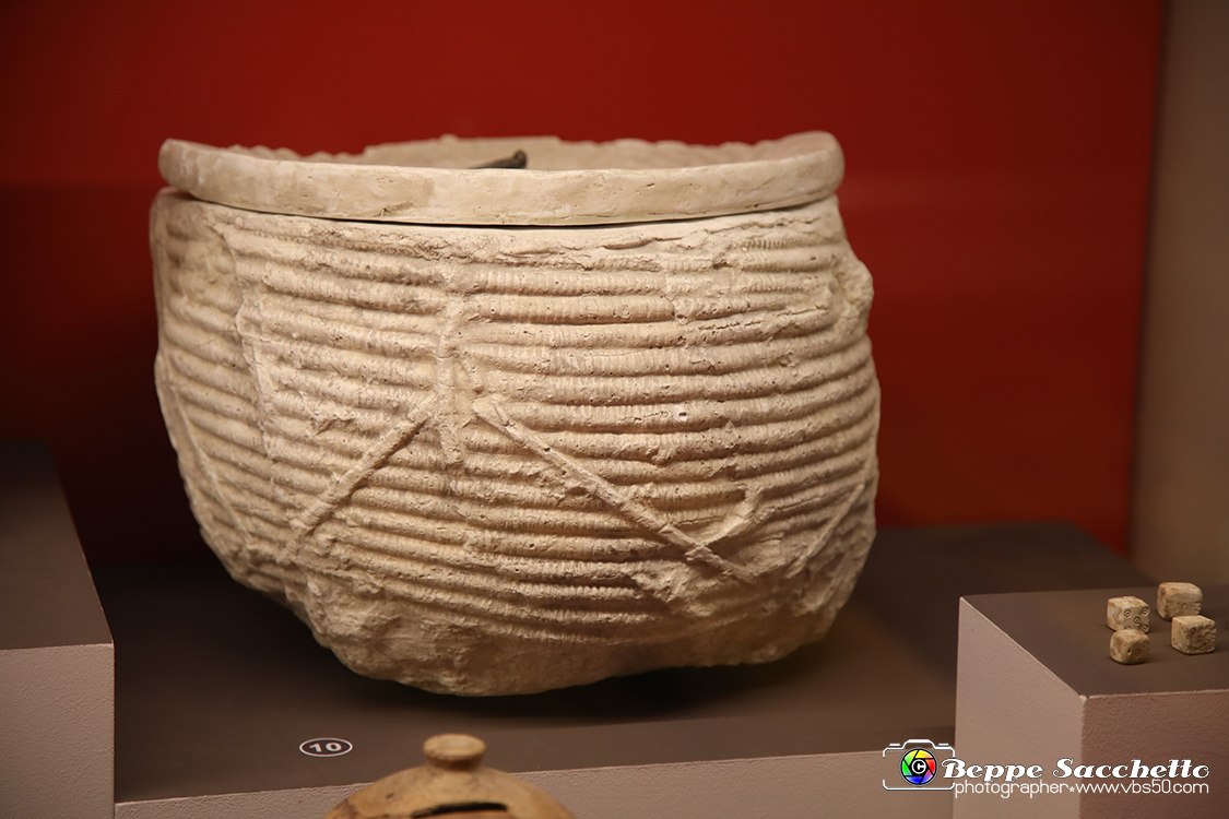VBS_8825 - Mostra Invito a Pompei.jpg
